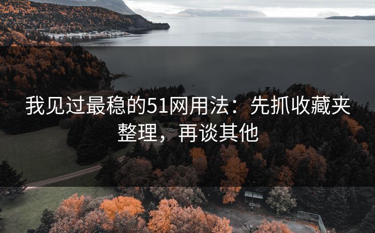 我见过最稳的51网用法：先抓收藏夹整理，再谈其他