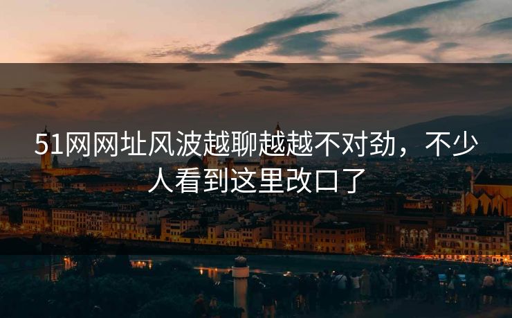 51网网址风波越聊越越不对劲，不少人看到这里改口了